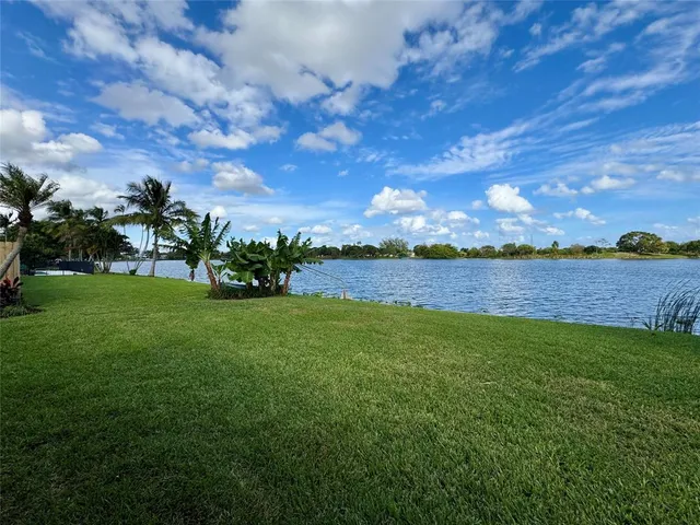 a view of a house with a backyard and a tree