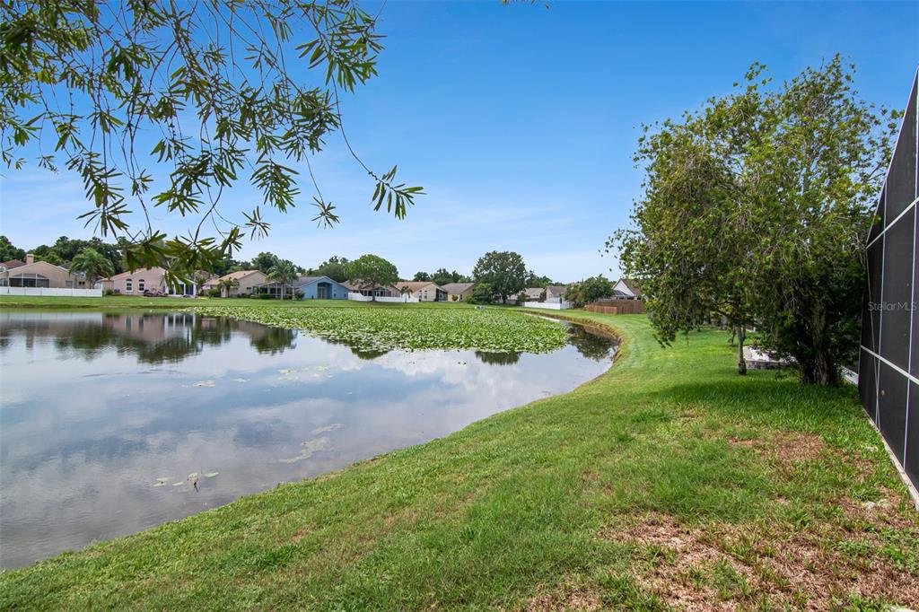 8512 Heyward Road Tampa, FL 33635 - Photo 56 of 73 Gallery Image 56