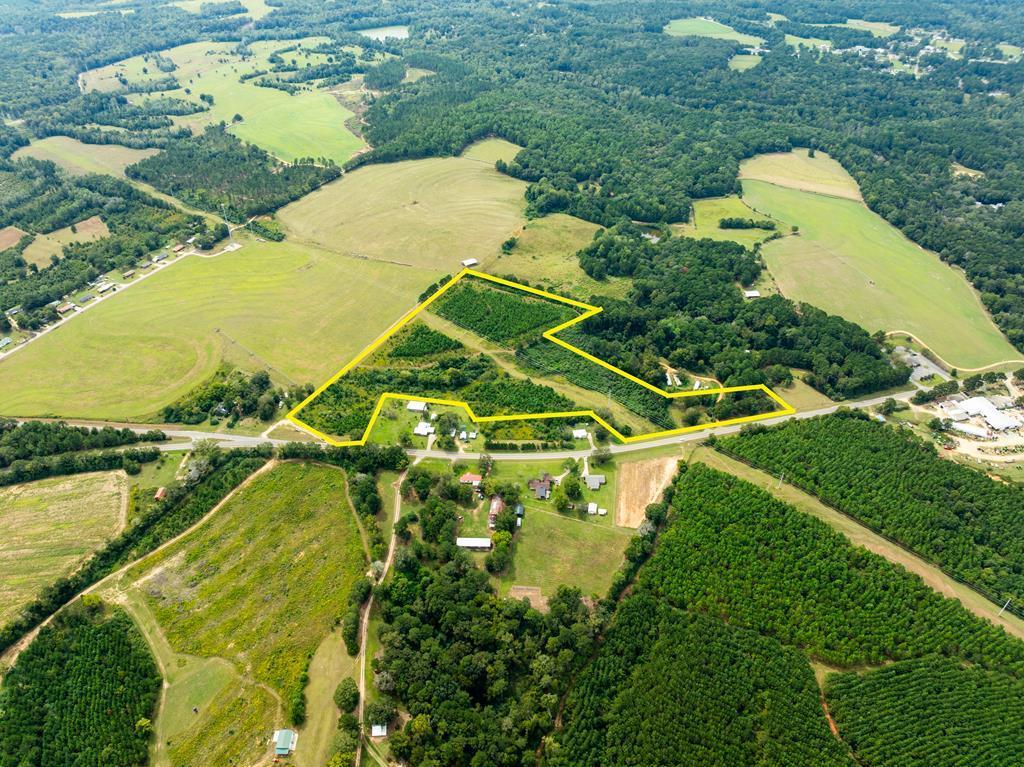 95 (columbia Rd) Road Abbeville, AL 36310 - Photo 41 of 41
