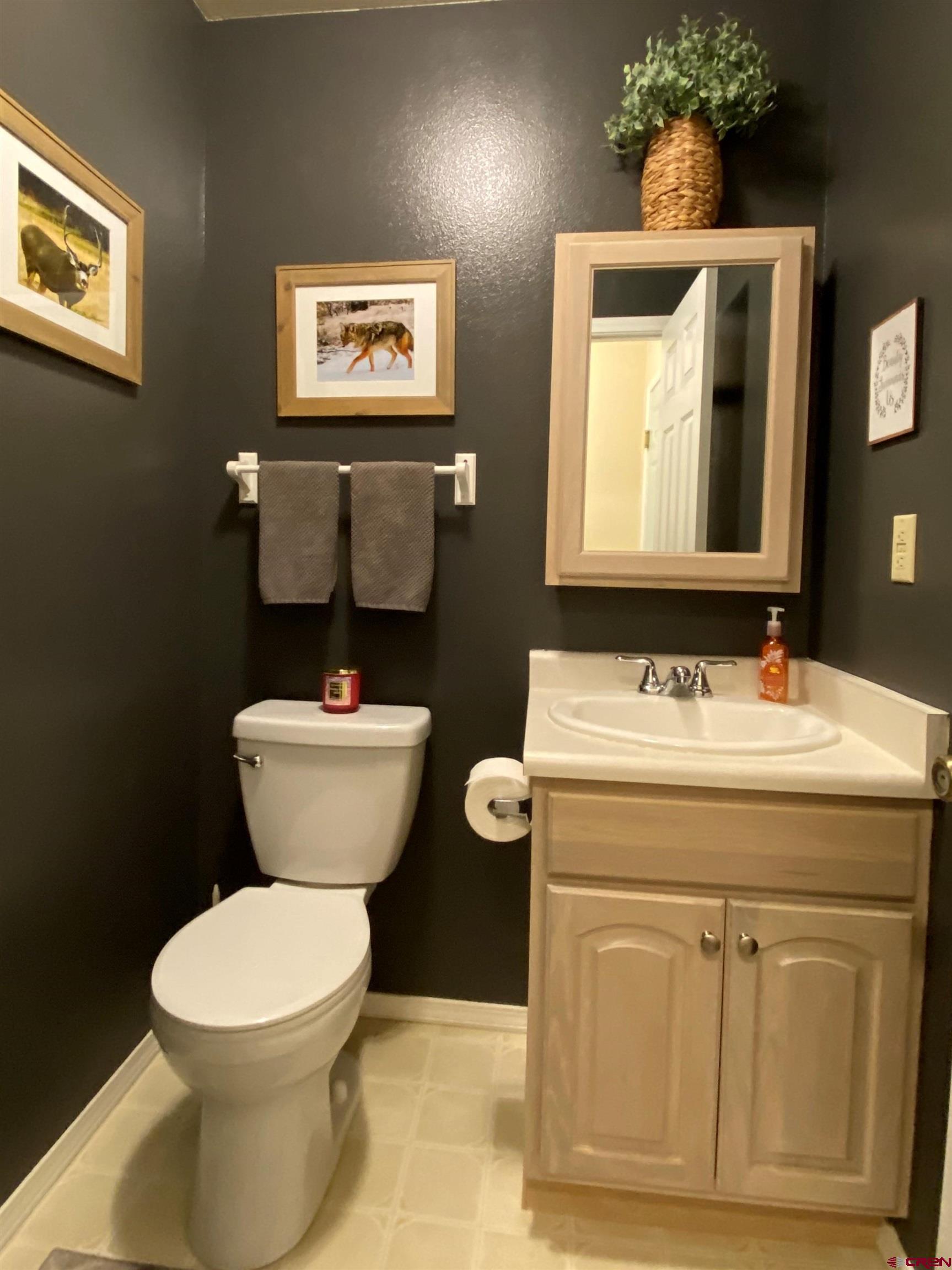 84 Ridge Road Durango, CO 81303 - Photo 12 of 33 a bathroom with a toilet a sink and mirror