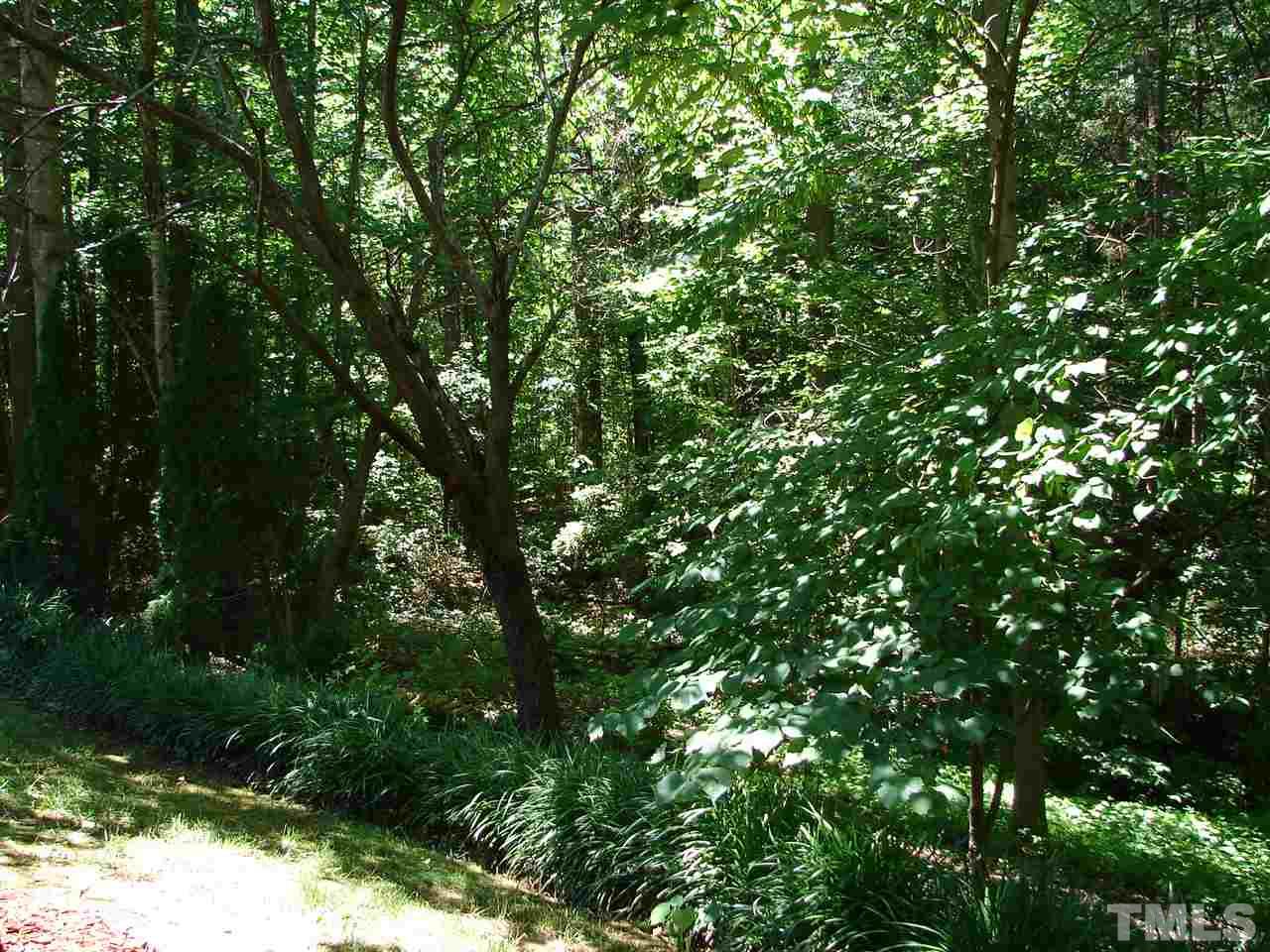 8718 Harps Mill Road Raleigh, NC 27615 - Photo 19 of 22 Indulge Yourself in Nature with this Wooded Buffer from the Deck !