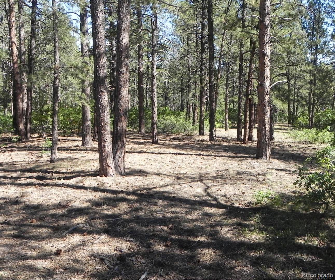 717 Poncho Road Larkspur, CO 80118 - Photo 11 of 24 Gallery Image 11