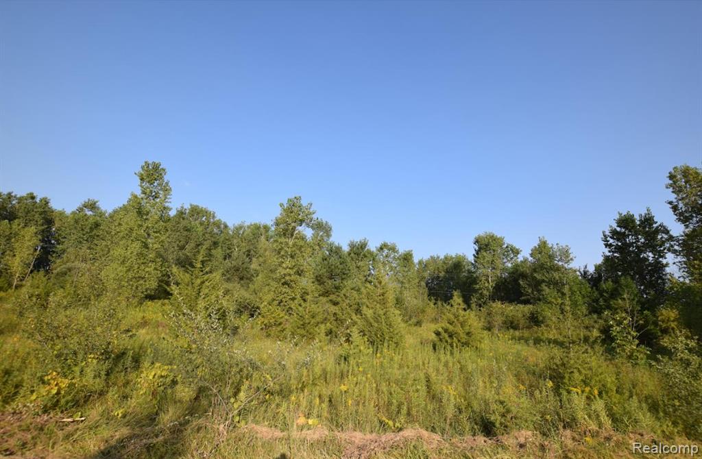 8498 Duffield Road Flushing, MI 48433 - Photo 1 of 3 Gallery Image 1