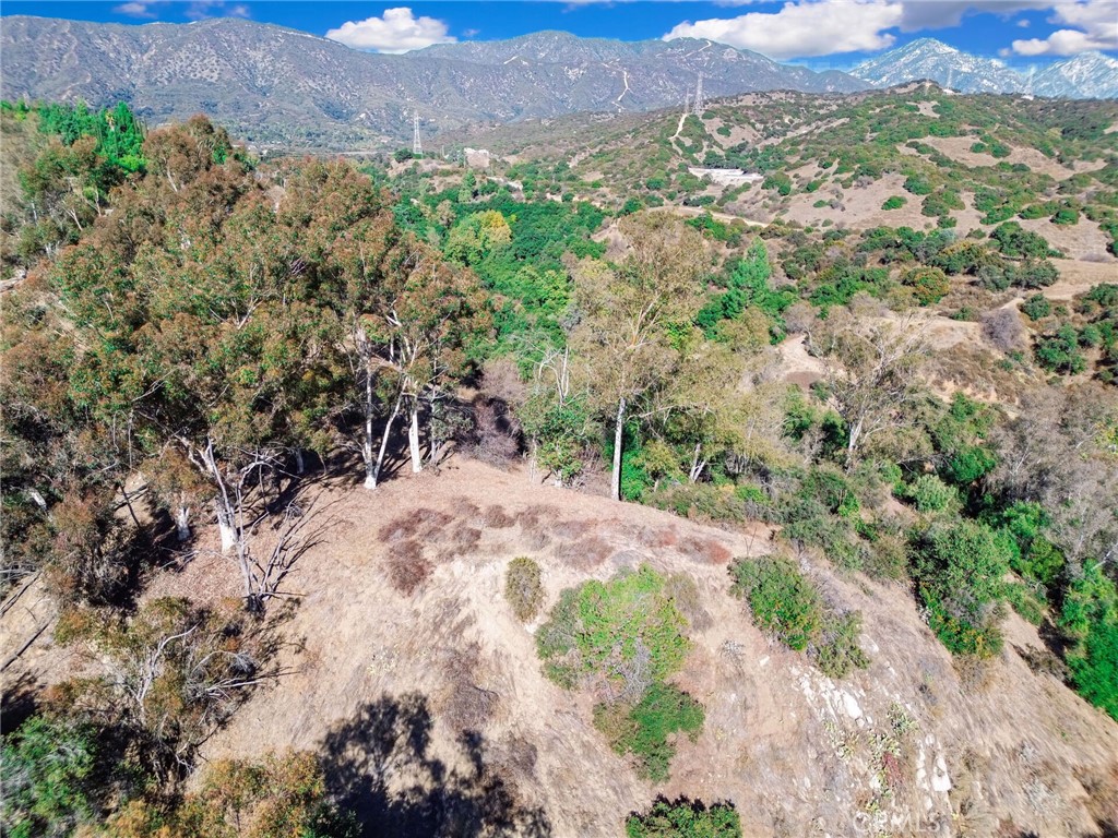 0 Live Oak Canyon Road La Verne, CA 91750 - Photo 11 of 21 a view of a yard with mountain