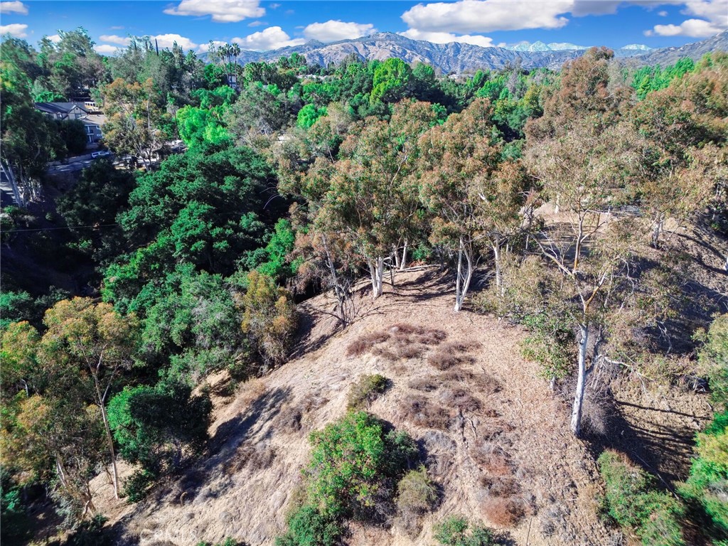 0 Live Oak Canyon Road La Verne, CA 91750 - Photo 13 of 21 a view of a large yard with lots of green space