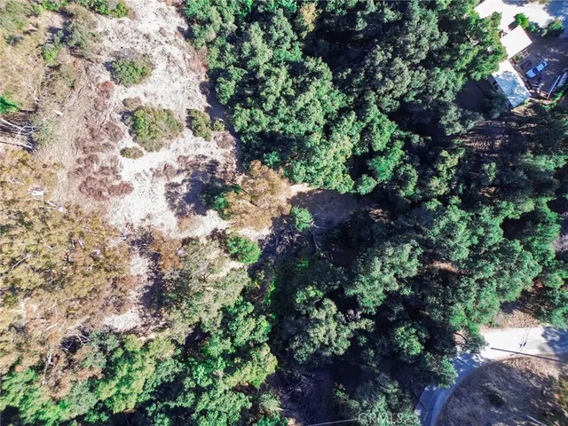 a view of flowers in between the bunch of flowers
