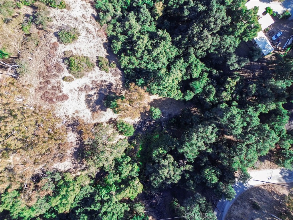 0 Live Oak Canyon Road La Verne, CA 91750 - Photo 14 of 21 a view of flowers in between the bunch of flowers