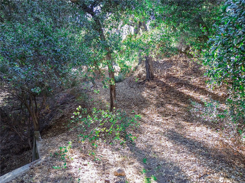 0 Live Oak Canyon Road La Verne, CA 91750 - Photo 20 of 21 a backyard of a house with lots of plants and large trees