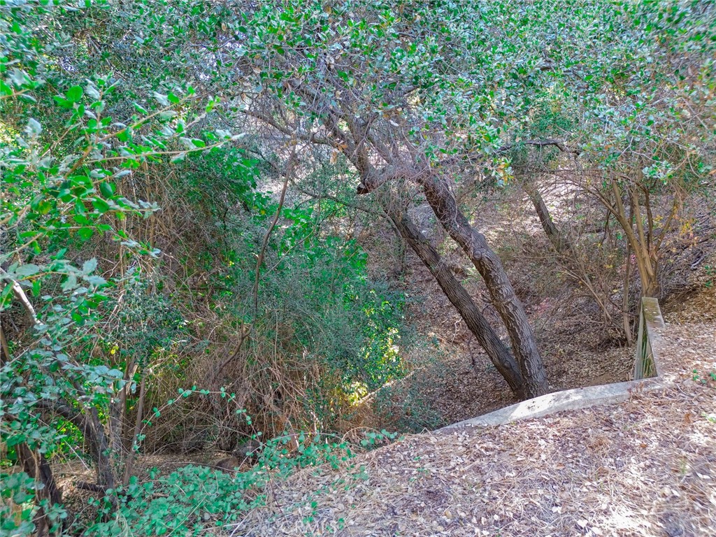 0 Live Oak Canyon Road La Verne, CA 91750 - Photo 21 of 21 a view of a yard with plants and trees