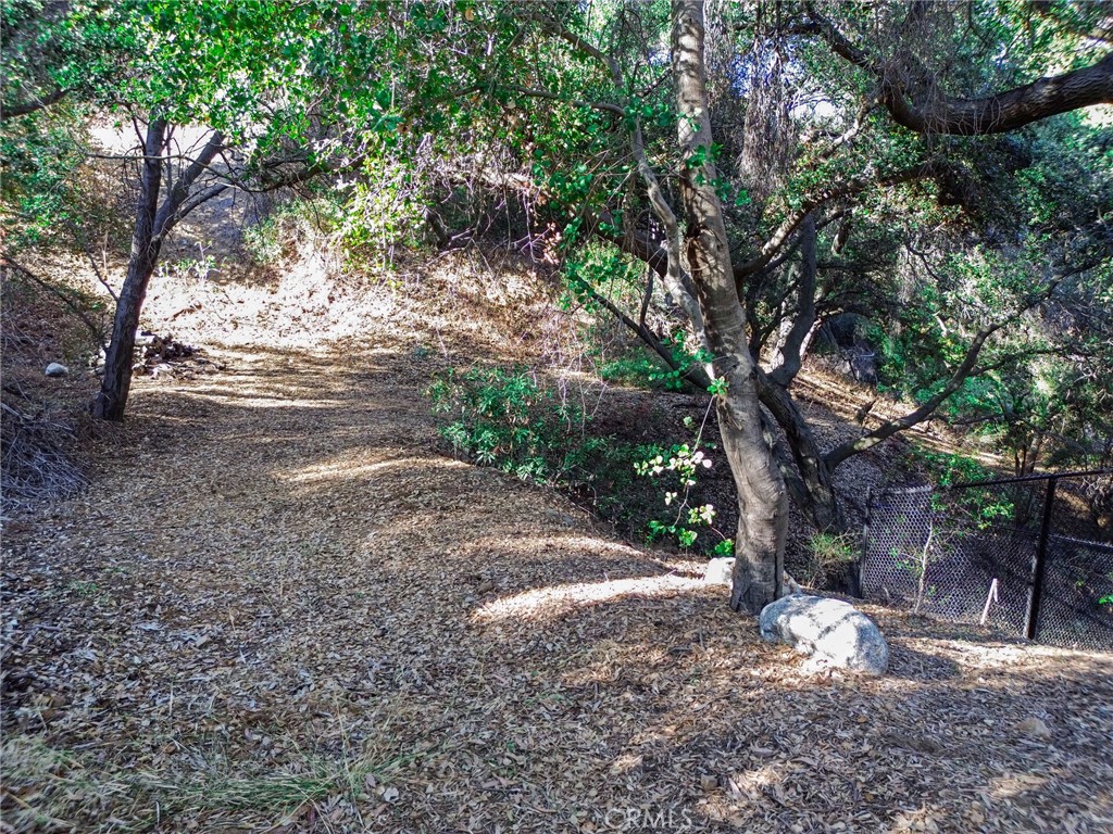 0 Live Oak Canyon Road La Verne, CA 91750 - Photo 4 of 21 a view of a yard with large trees