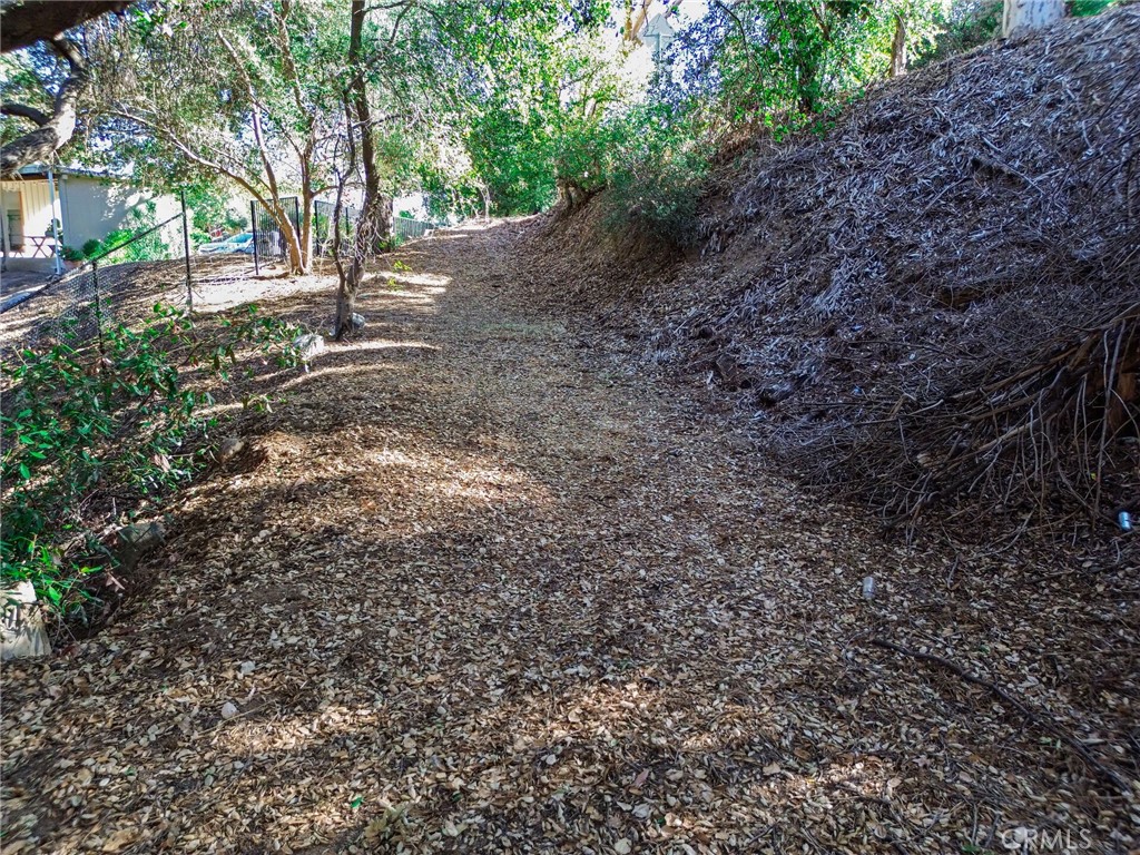 0 Live Oak Canyon Road La Verne, CA 91750 - Photo 5 of 21 a view of a forest with trees
