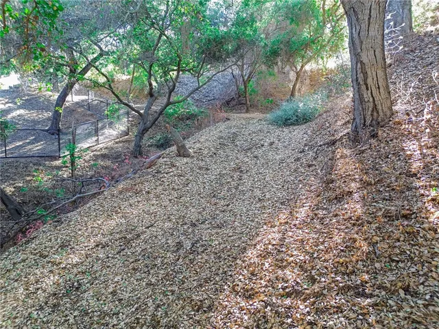 a view of a yard with plants and trees