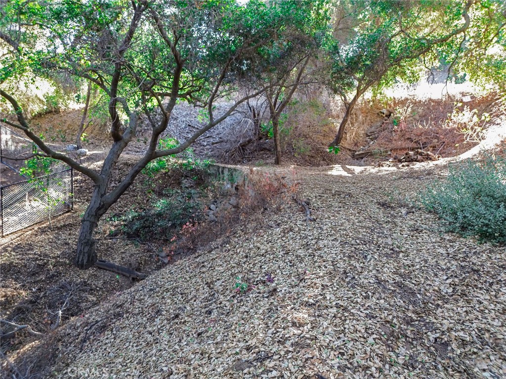 0 Live Oak Canyon Road La Verne, CA 91750 - Photo 7 of 21 a view of a yard with large trees