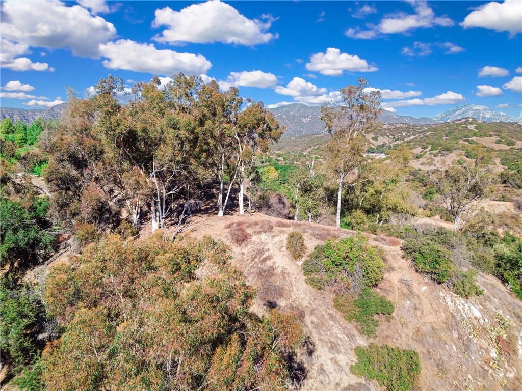 0 Live Oak Canyon Road La Verne, CA 91750 - Photo 10 of 21 a view of outdoor space and trees