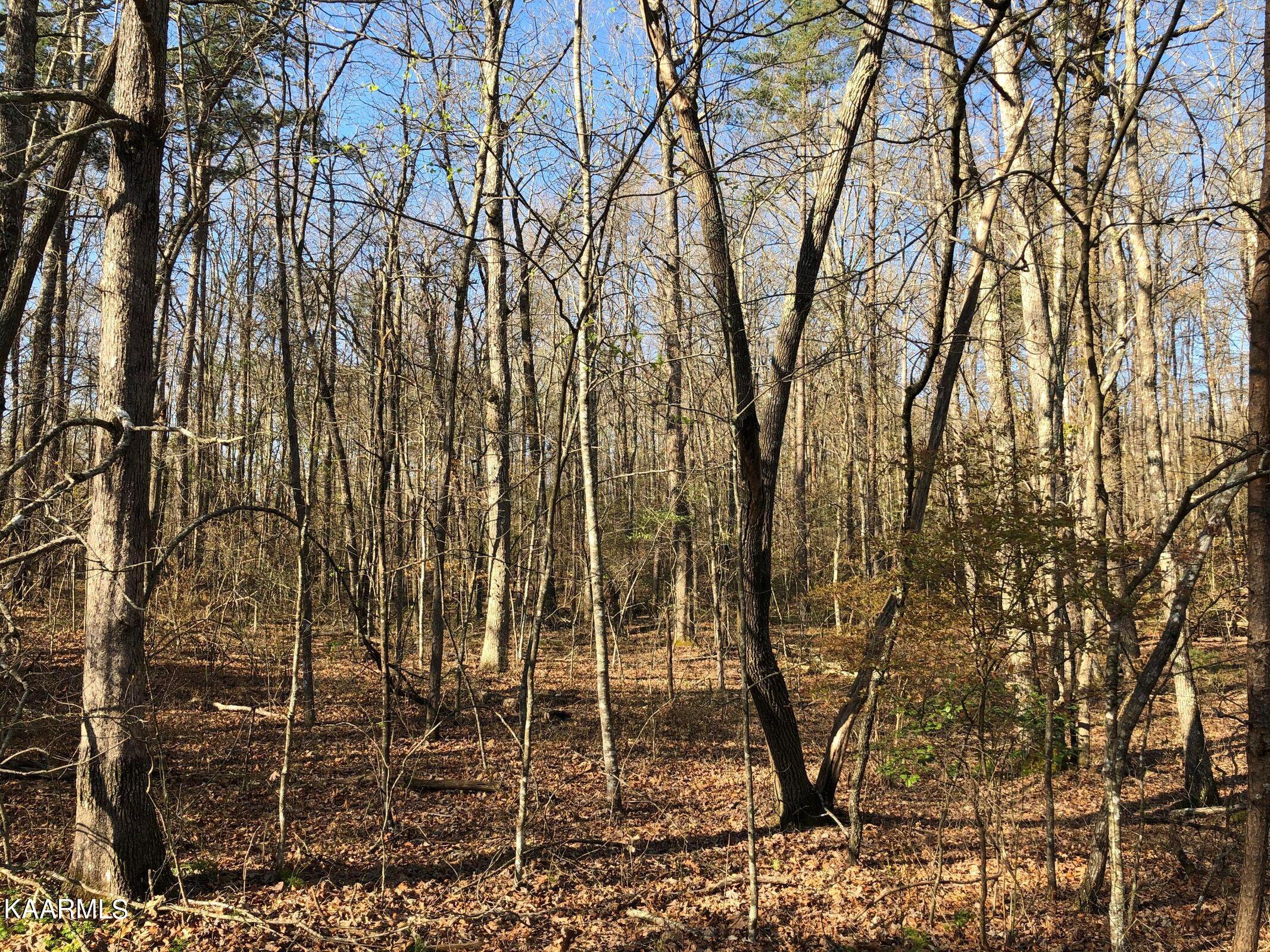 Lot 1 Arrowhead Road Monterey, TN 38574 - Photo 1 of 5 6C77A03C-68FE-4FDF-B646-1215A01C1E8C