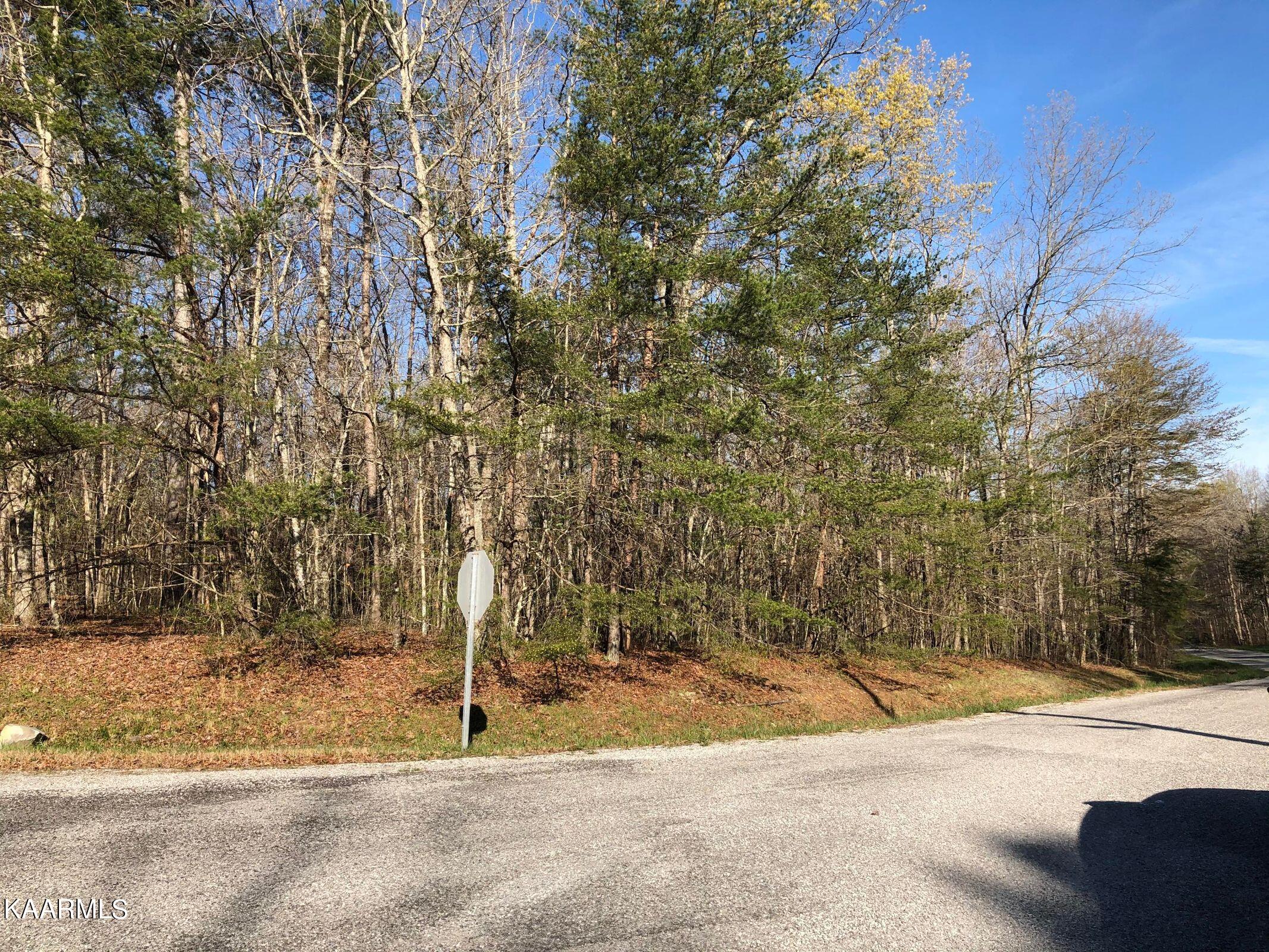 Lot 1 Arrowhead Road Monterey, TN 38574 - Photo 2 of 5 00294CD3-D5F7-4B27-9F64-7BDC3E8A1DA7
