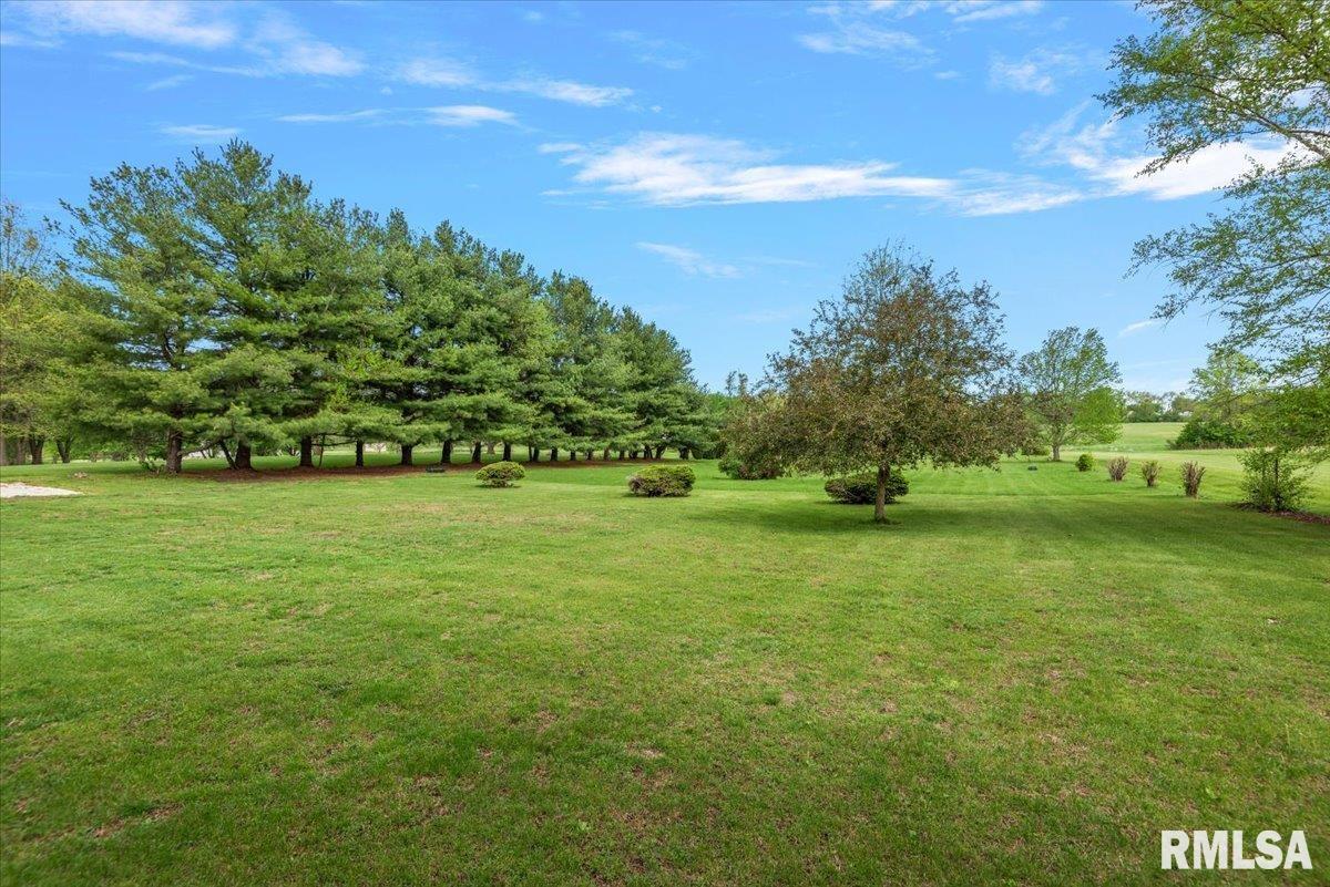 333 West Glenarm Road Glenarm, IL 62536 - Photo 60 of 68