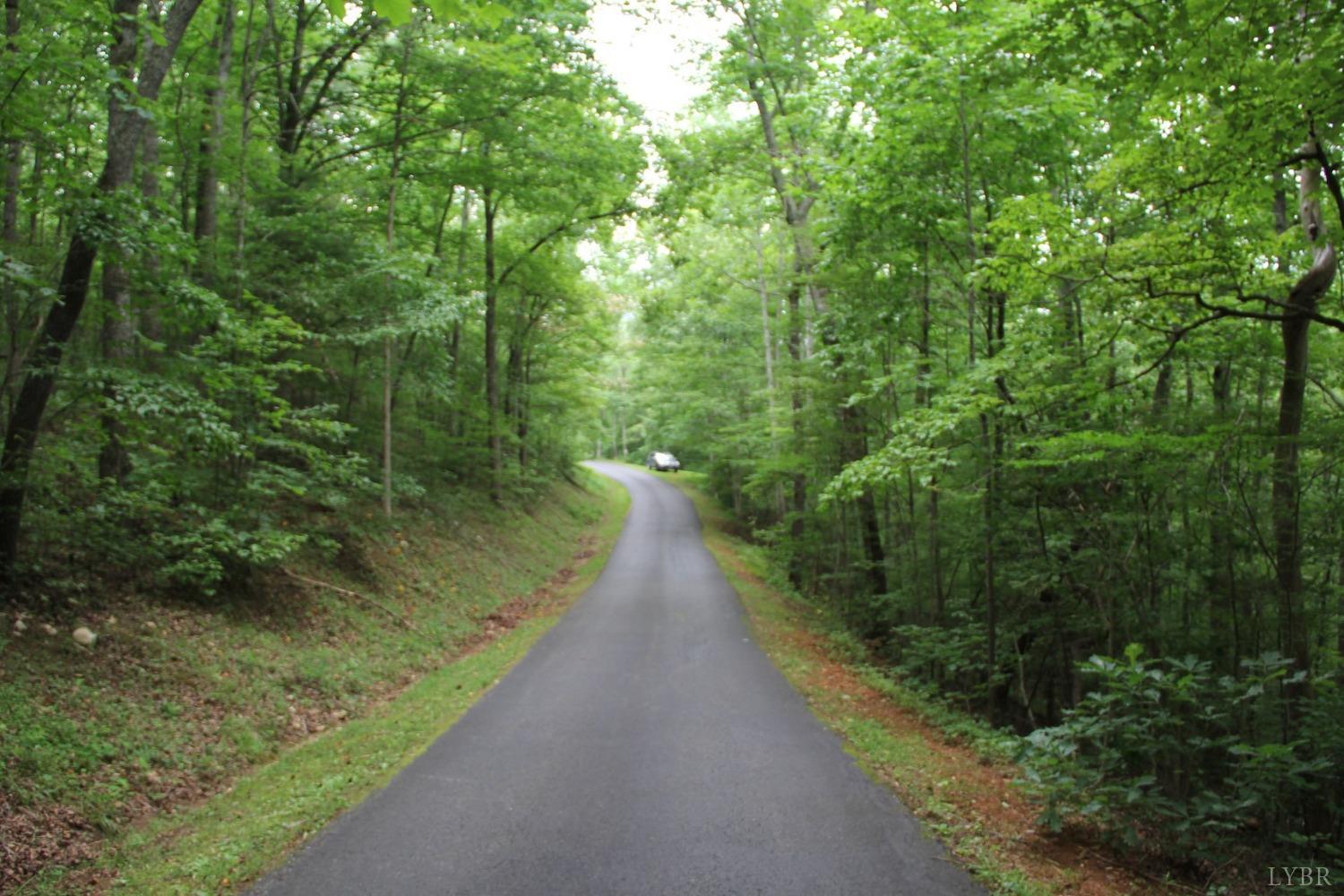 0 Cottage Charm Road Goode, VA 24556 - Photo 7 of 23 a view of a pathway both side of yard