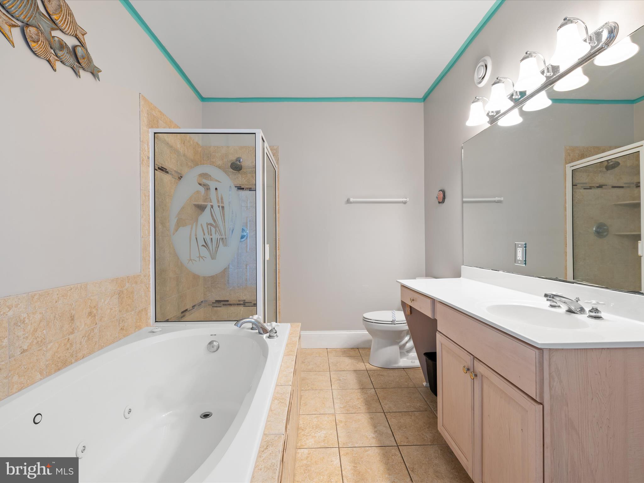 105 56th Street, Unit 205 P1 Ocean City, MD 21842 - Photo 26 of 40 a bathroom with a bathtub a sink and a mirror