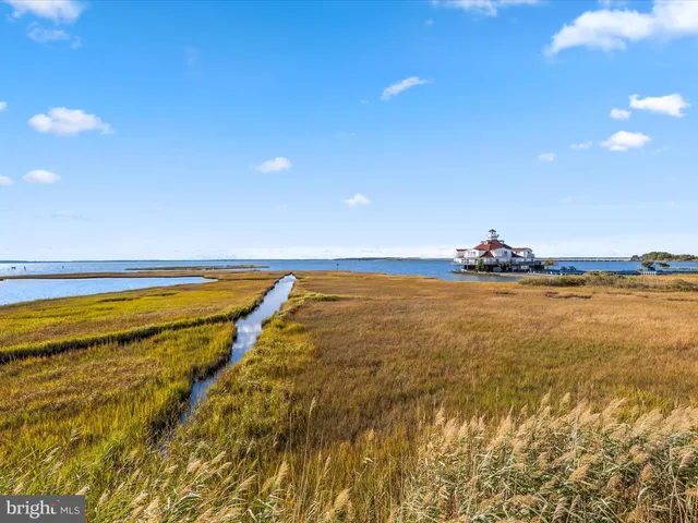 a view of an ocean and beach