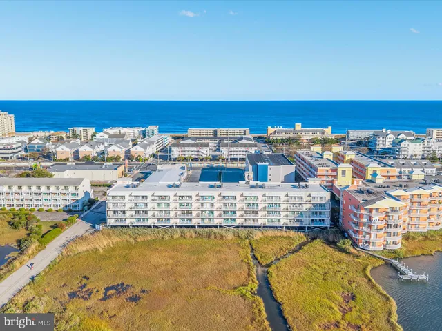 a view of a lake with boats and trees in the background
