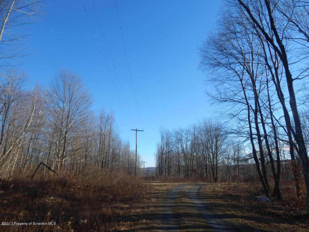 Kehrli Road Factoryville, PA 18419 - Photo 2 of 6 Road to Acreage