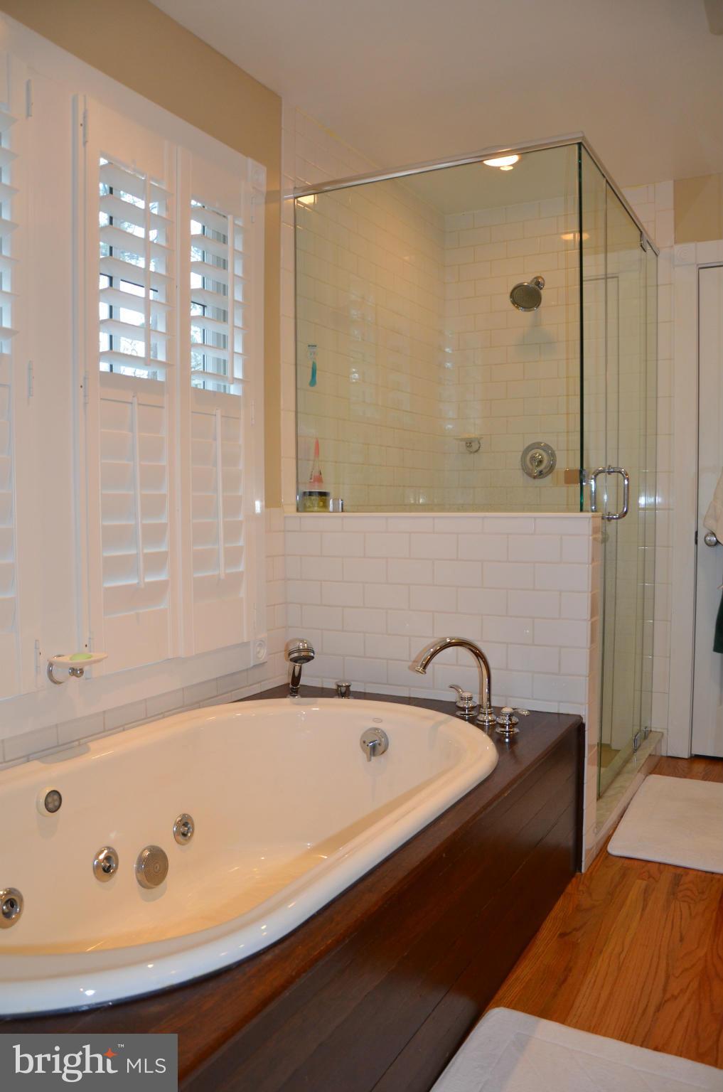 9795 Mill Point Road Easton, MD 21601 - Photo 18 of 30 Bath (Master)