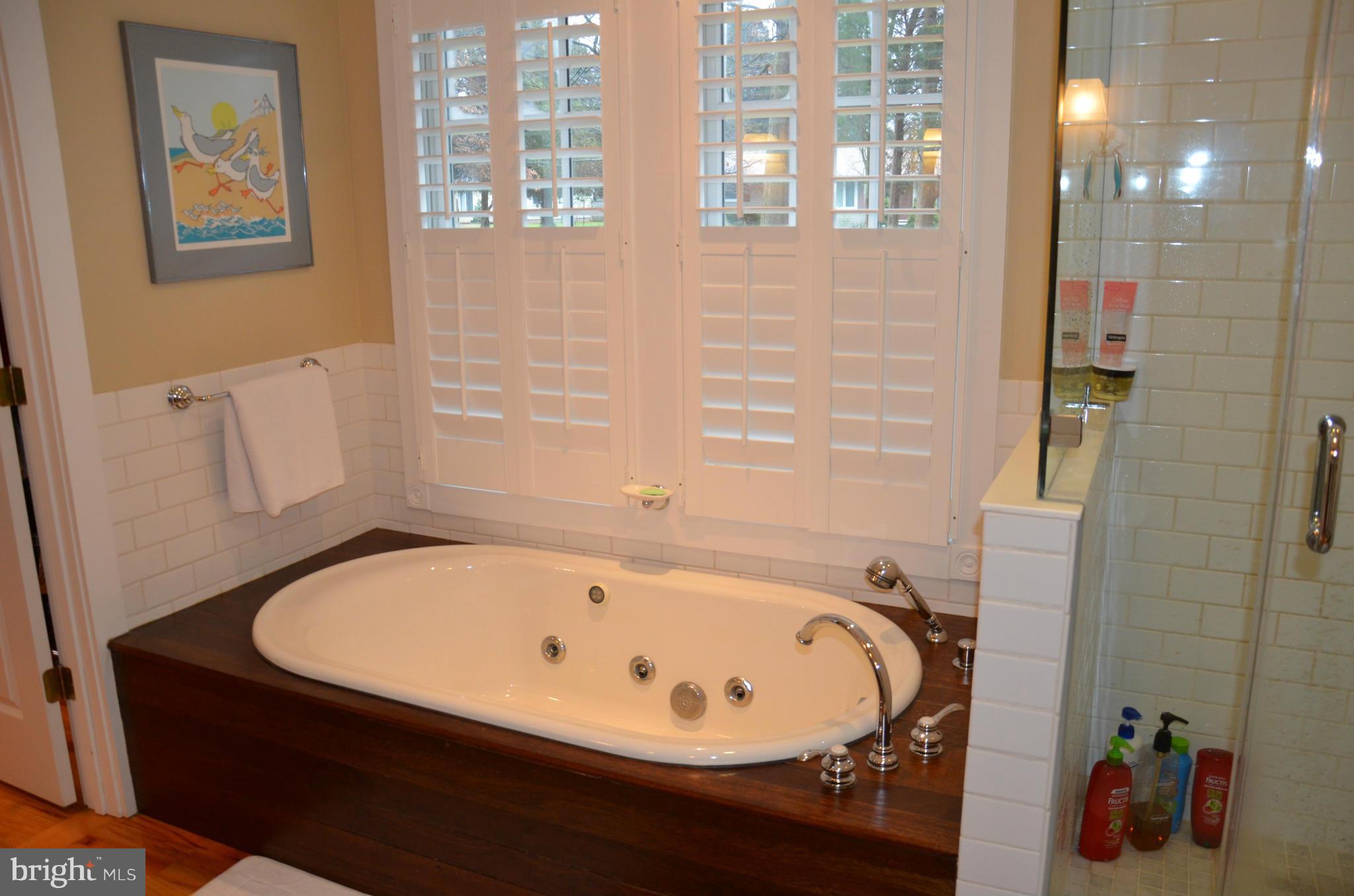 9795 Mill Point Road Easton, MD 21601 - Photo 20 of 30 Bath (Master)
