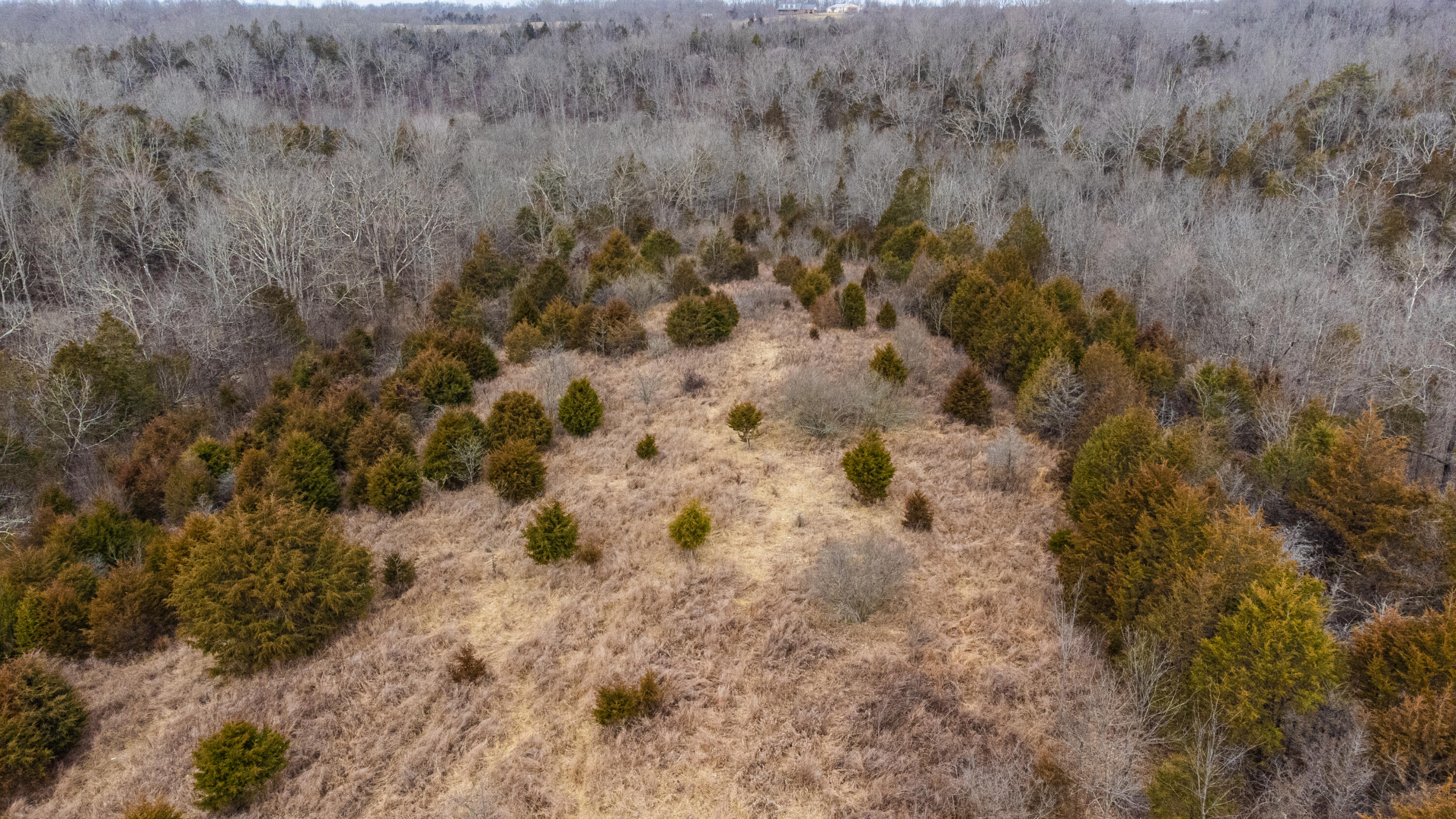 52-ac Ashby Road Lawrenceburg, KY 40342 - Photo 8 of 9 Real Estate - 1366 Ashby Rd (21 of 35)
