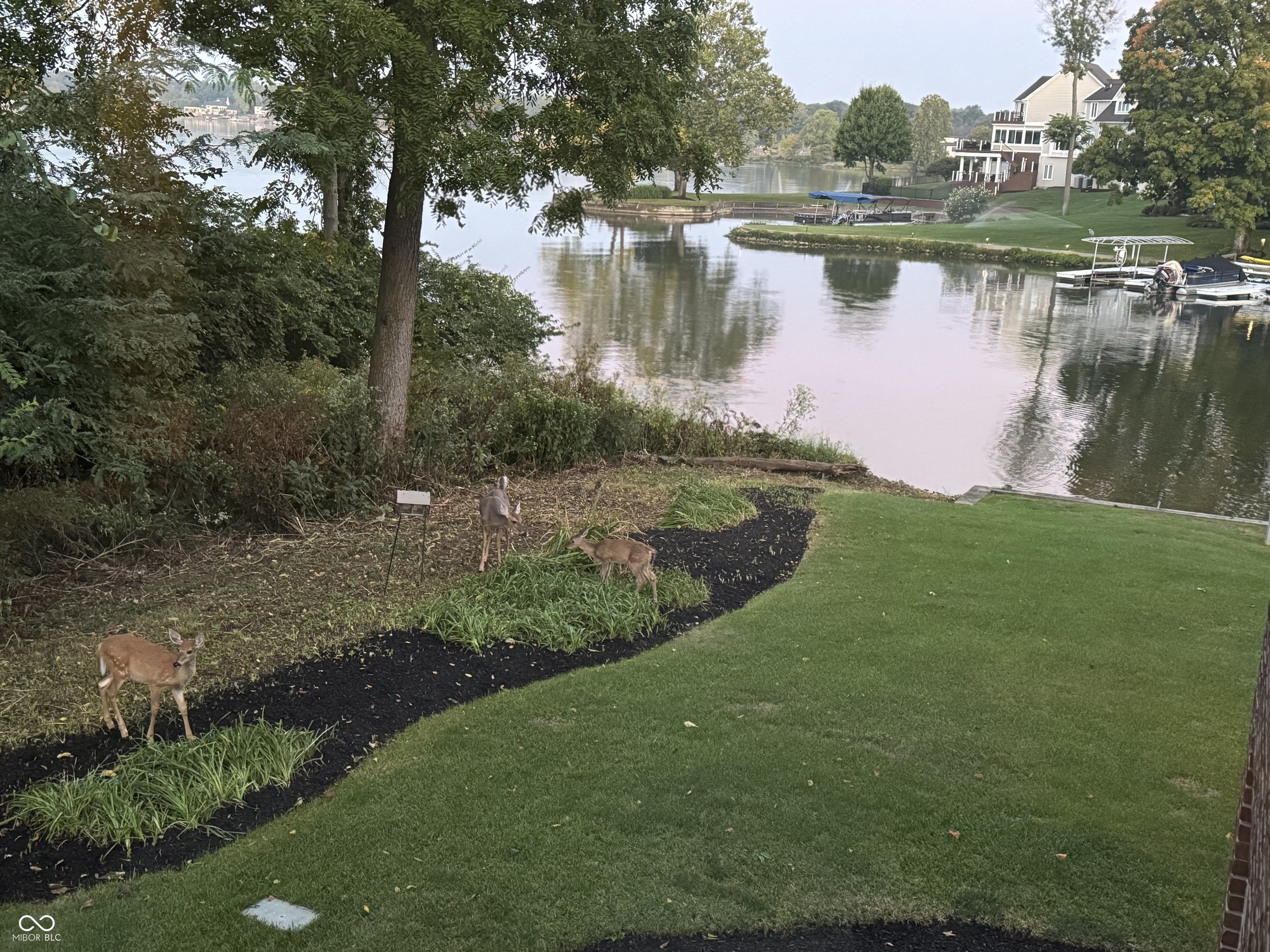 8620 Key Harbour Drive Indianapolis, IN 46236 - Photo 50 of 67