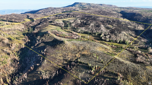 123 Tbd Monroe Canyon Road Monroe, UT 84754 - Photo 3 of 92 Expansive mountain landscape featuring varied terrain and natural vegetation, outlined by a yellow boundary