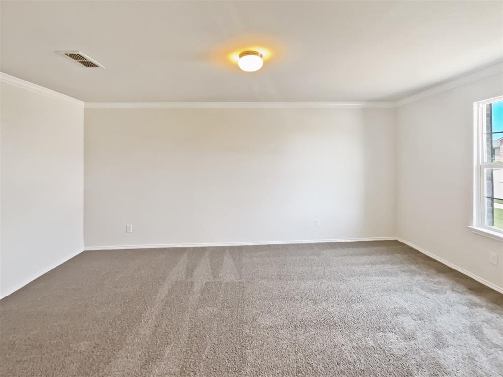 1409 Rivers Creek Lane Little Elm, TX 75068 - Photo 18 of 19