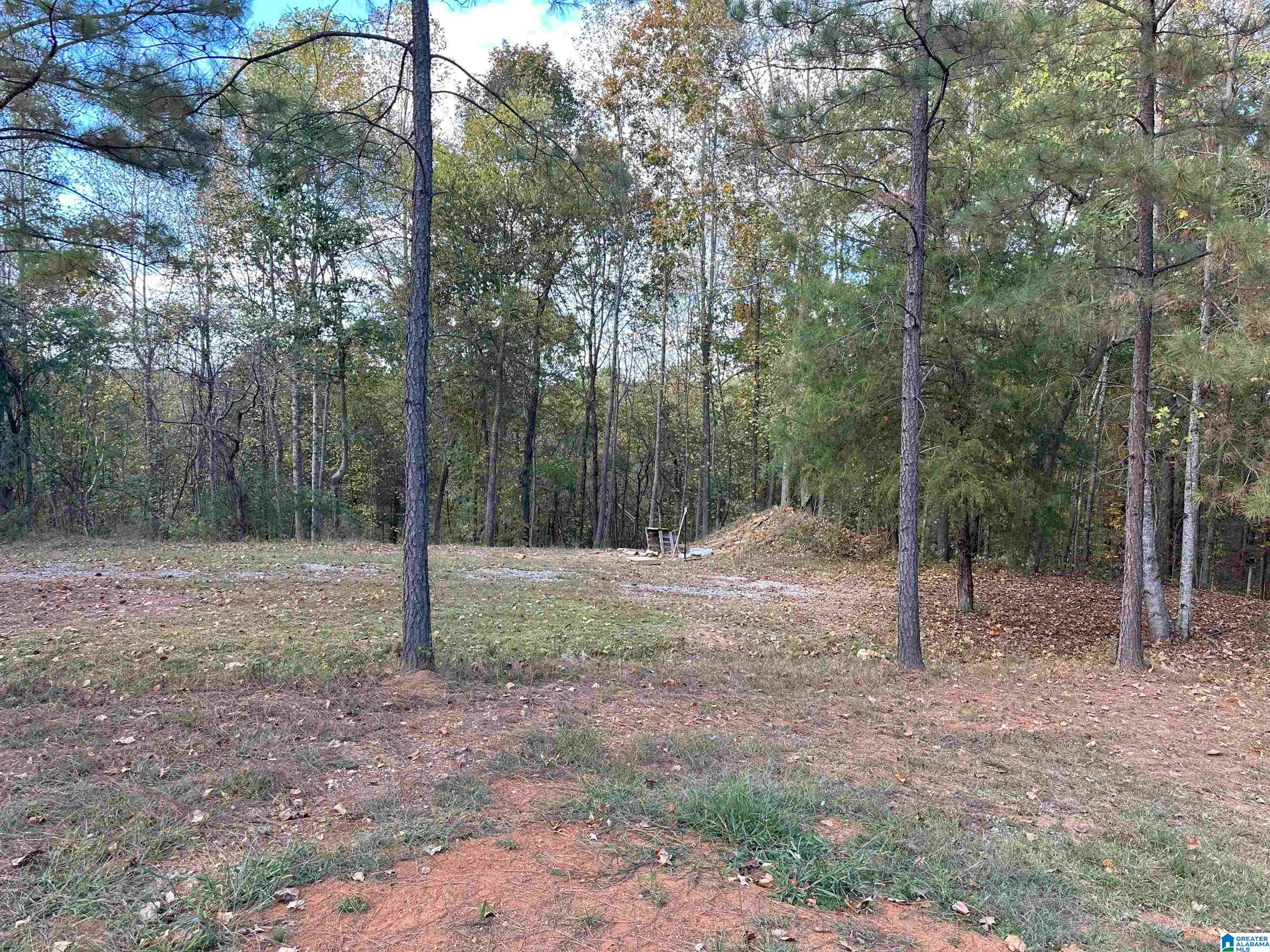 55 Oak Tree Street Cropwell, AL 35054 - Photo 11 of 27