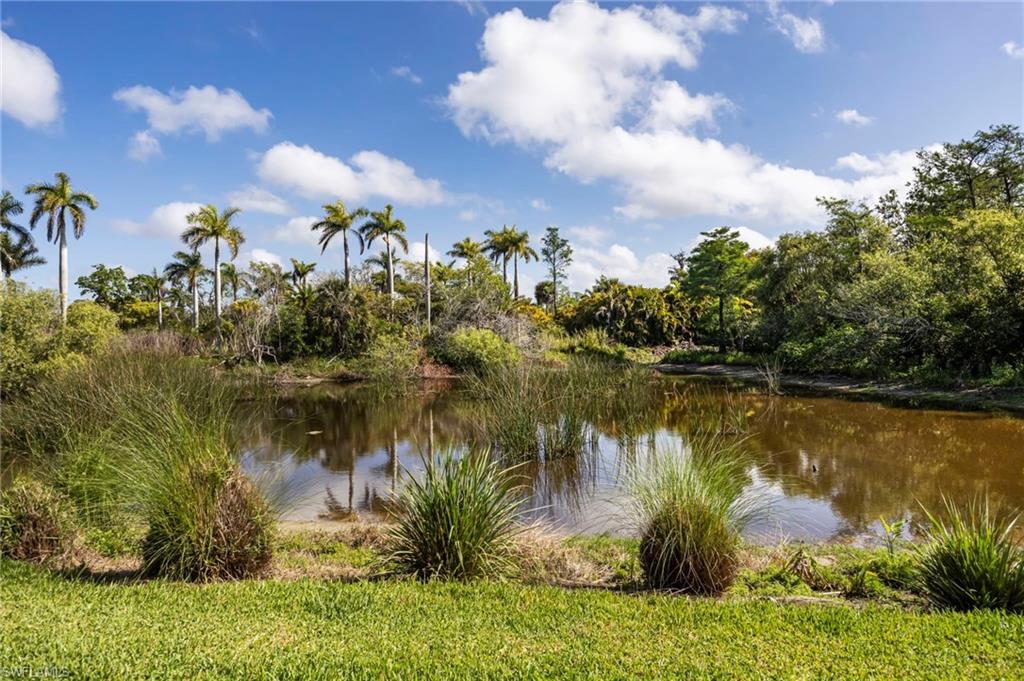 1287 Manado Drive Naples, FL 34113 - Photo 23 of 32 a view of a lake in between two of trees