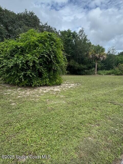 2840 West Jay Jay Road Titusville, FL 32796 - Photo 8 of 8 a view of outdoor space and yard