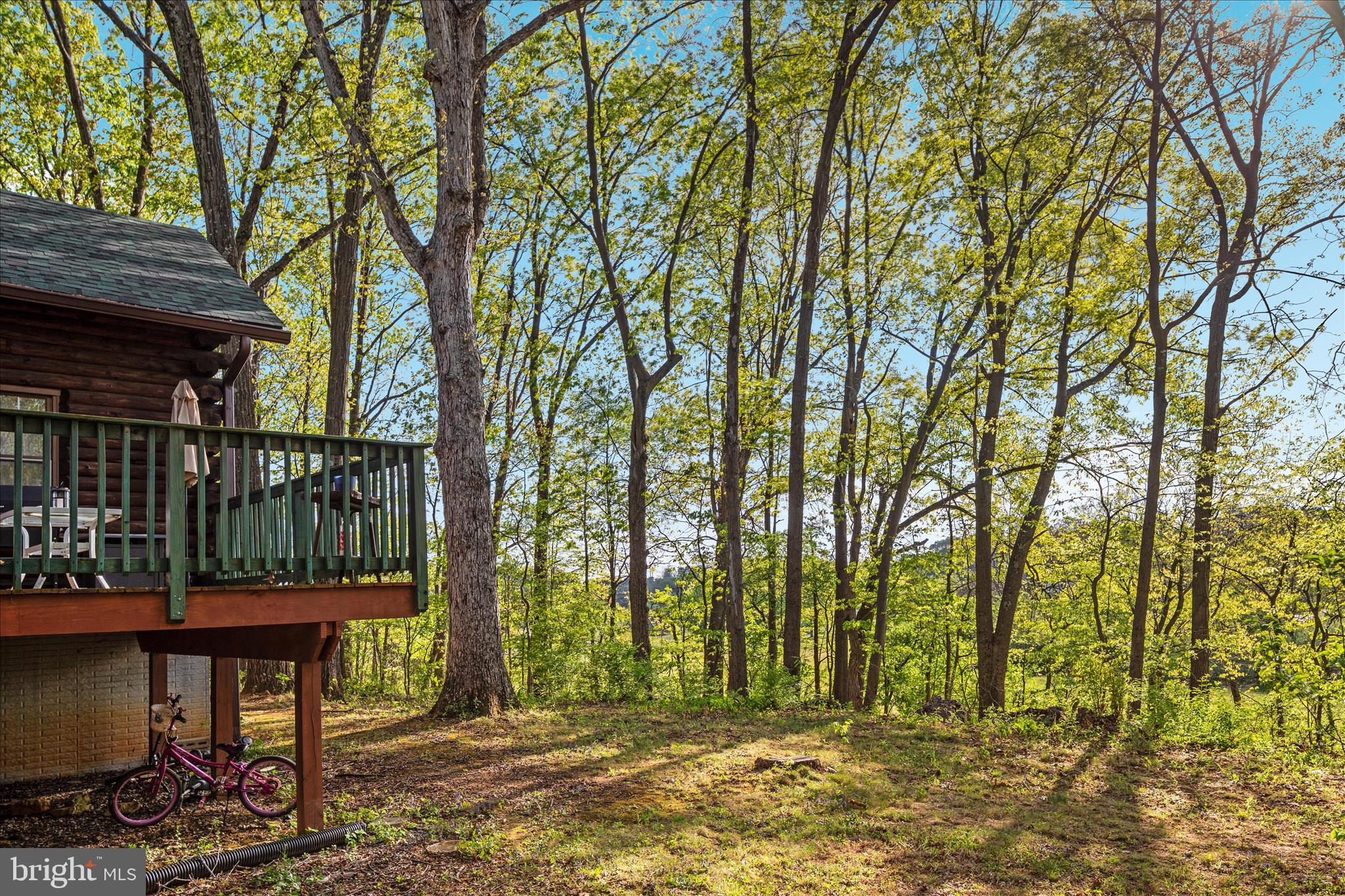 428 Apple Pie Ridge Road Winchester, VA 22603 - Photo 53 of 65 Private yet close to everything