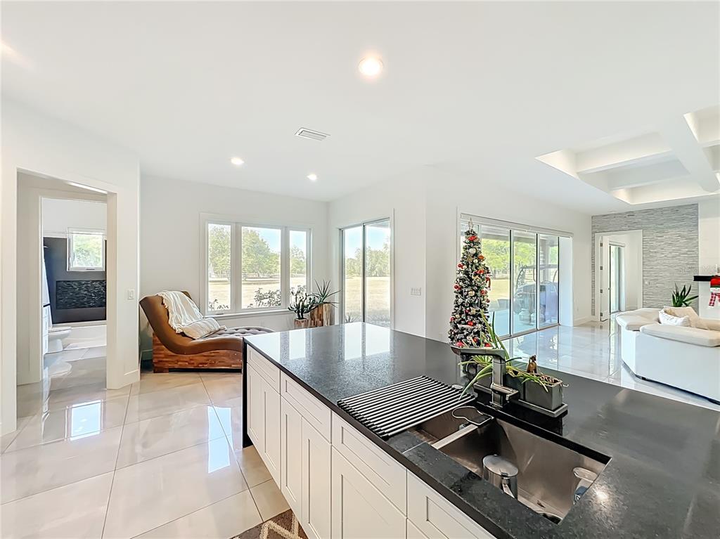 540 Northwest 165th Ct Road Dunnellon, FL 34432 - Photo 29 of 85 a kitchen with granite countertop a sink and a counter top space