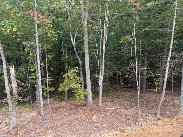 23 Peck Peak Road Jefferson, NC 28640 - Photo 3 of 22 Gallery Image 3