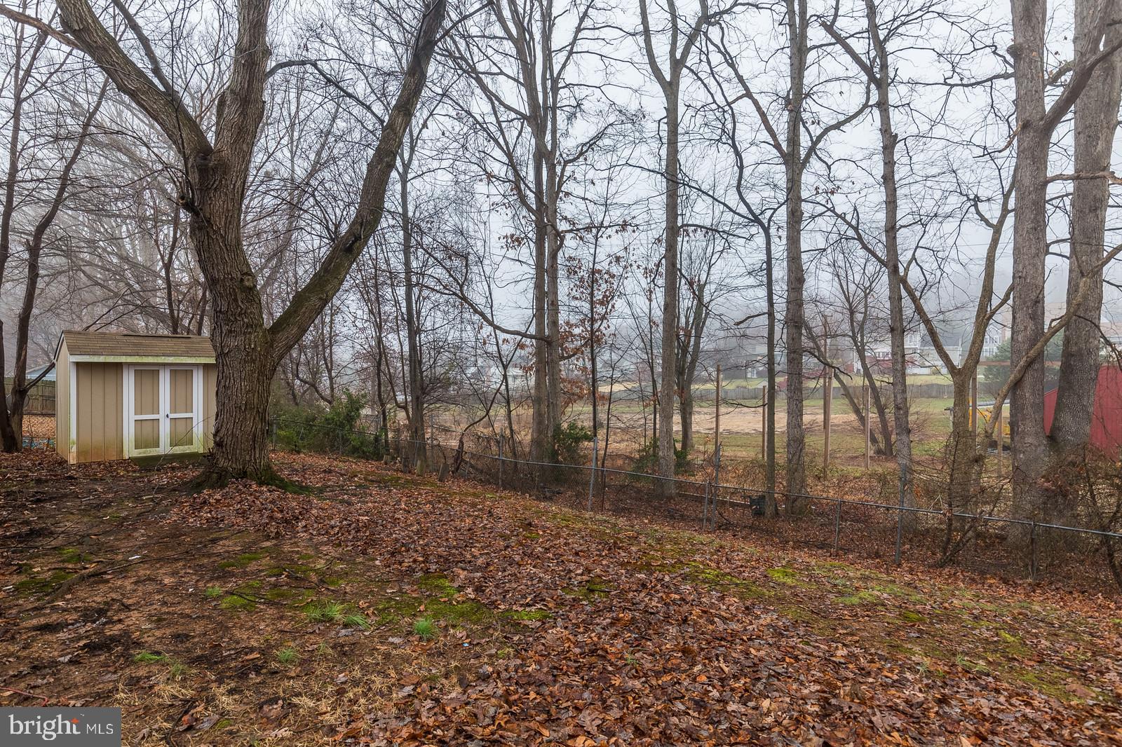 4134 Granby Road Woodbridge, VA 22193 - Photo 23 of 25 Large back yard with shed
