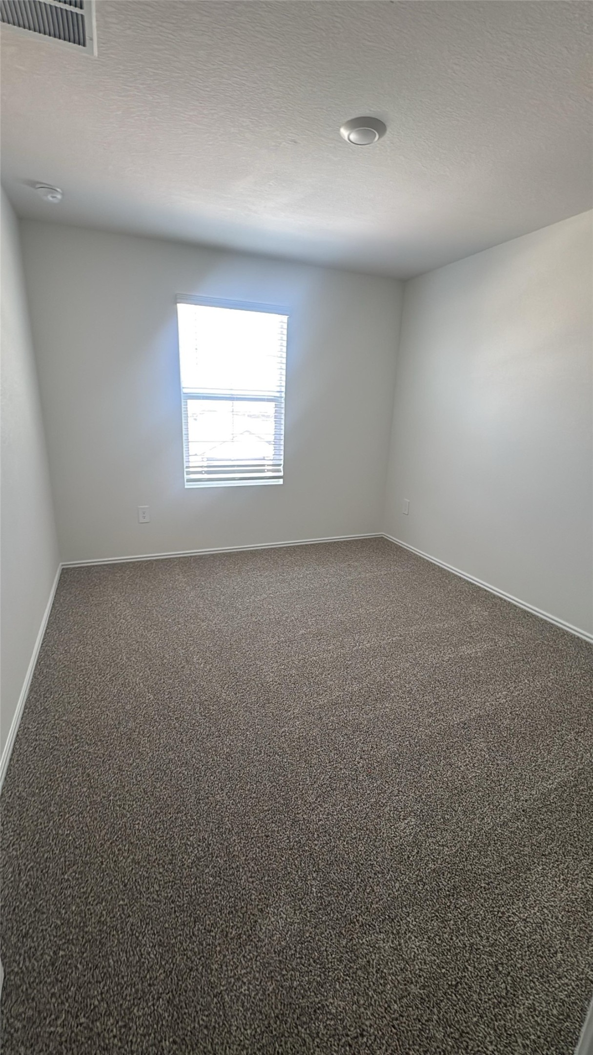 174 Balmorhea Street Kyle, TX 78640 - Photo 8 of 29 An inviting secondary bedroom provides a neutral palette with plush carpeting and natural light from a window.