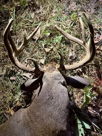 $341,000 | 0 Highway D - Tract 6 (22 /- Acres) Eolia Mo 63344, Eolia, MO 63344