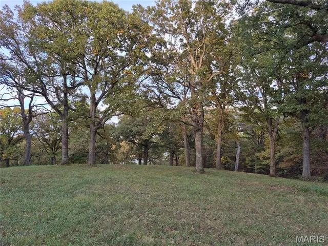 $352,000 | 0 Highway D - Tract 6 (22 /- Acres) Eolia Mo 63344, Eolia, MO 63344