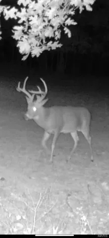 $352,000 | 0 Highway D - Tract 6 (22 /- Acres) Eolia Mo 63344, Eolia, MO 63344