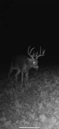 $341,000 | 0 Highway D - Tract 6 (22 /- Acres) Eolia Mo 63344, Eolia, MO 63344