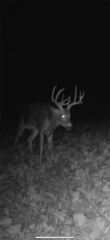 $352,000 | 0 Highway D - Tract 6 (22 /- Acres) Eolia Mo 63344, Eolia, MO 63344