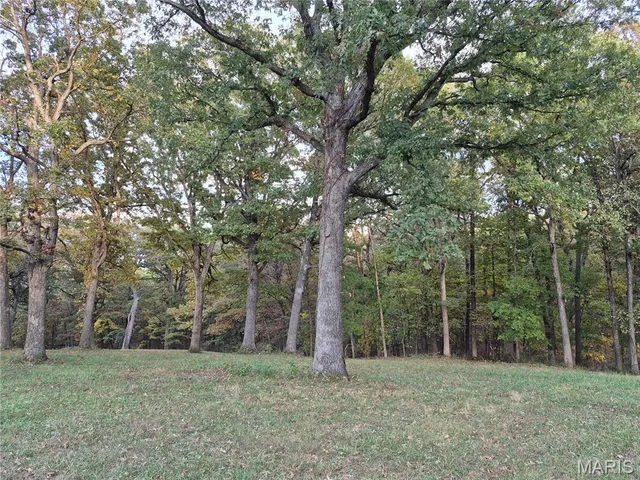 $352,000 | 0 Highway D - Tract 6 (22 /- Acres) Eolia Mo 63344, Eolia, MO 63344