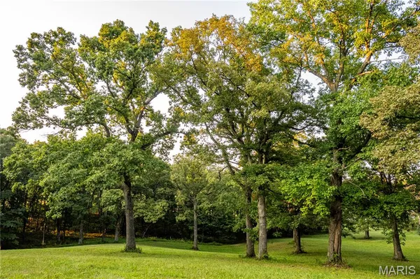 $341,000 | 0 Highway D - Tract 6 (22 /- Acres) Eolia Mo 63344, Eolia, MO 63344