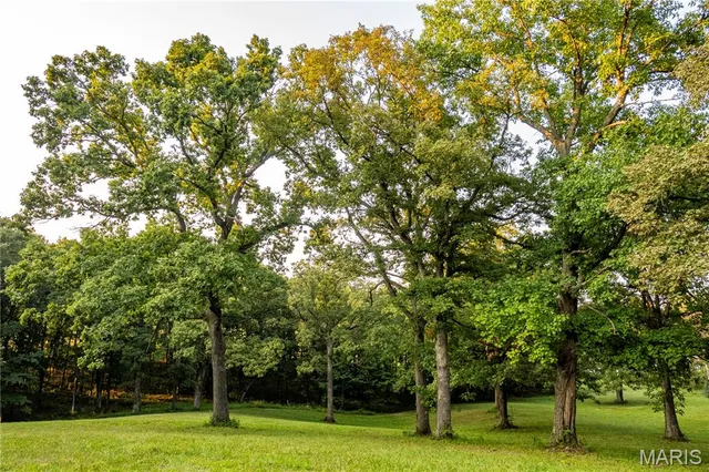 $352,000 | 0 Highway D - Tract 6 (22 /- Acres) Eolia Mo 63344, Eolia, MO 63344