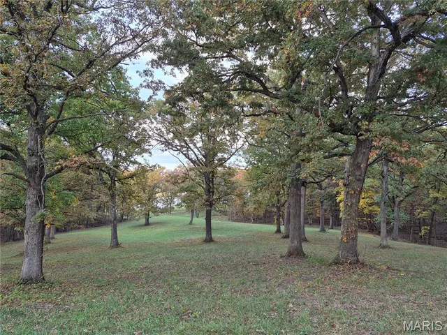 $352,000 | 0 Highway D - Tract 6 (22 /- Acres) Eolia Mo 63344, Eolia, MO 63344