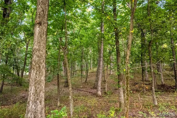 $341,000 | 0 Highway D - Tract 6 (22 /- Acres) Eolia Mo 63344, Eolia, MO 63344